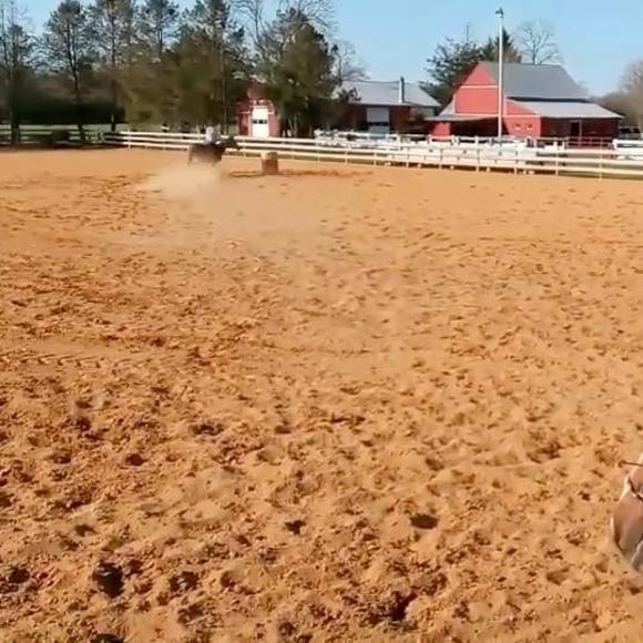 Meet your Posher, Brianna - Picture 1 of 1